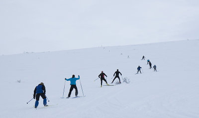 ski_race.jpg