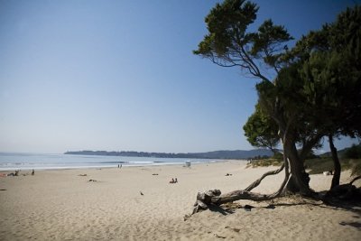 IMG_3326.jpg