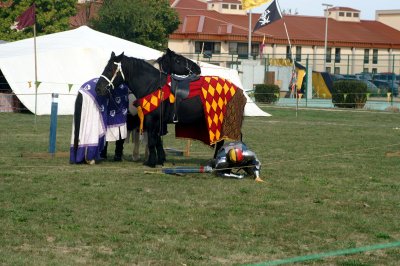 Joust Evolution