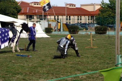 Joust Evolution