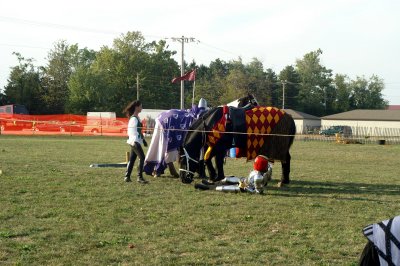 Joust Evolution