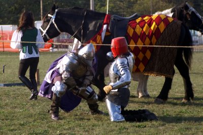 Joust Evolution