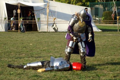 Joust Evolution