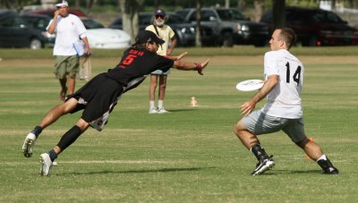 IMG_9251.jpg