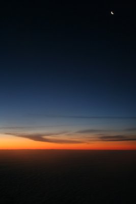 IMG_7830P.jpg