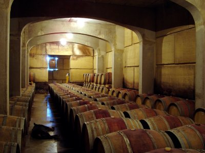 Wine the Provence II.jpg