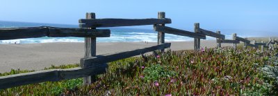 Point Reyes Fence