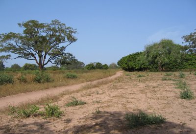 Faraba Banta bush track