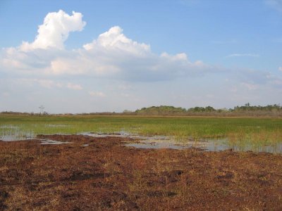 Wetland within canga, Carajs