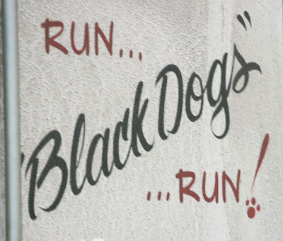 Run Black Dogs Run