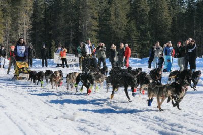 1Run Black Dogs Run.jpg