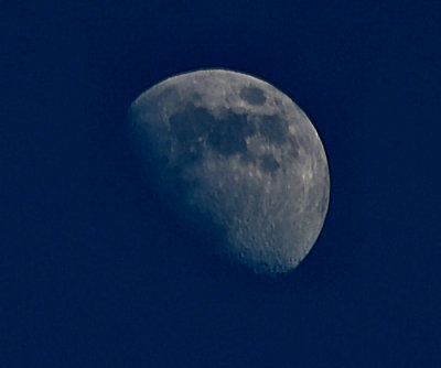 1Light of the moon.jpg