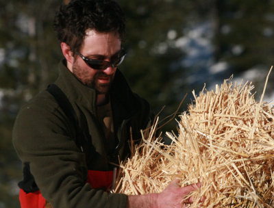1Scott putting down straw.jpg