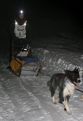 1Dina and sled.jpg
