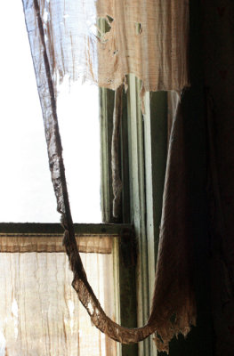 Tattered Curtains Still Hang