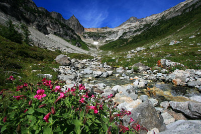 Phelps Basin