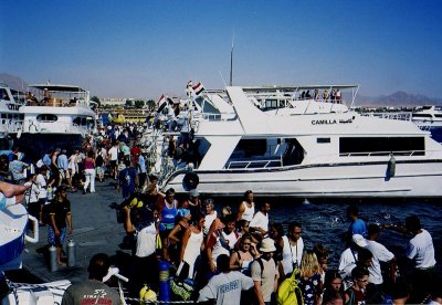 Sharm el Sheikh Dive boats