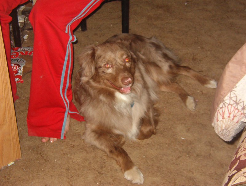 Gunner