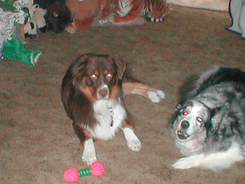 Slinger and Bandit