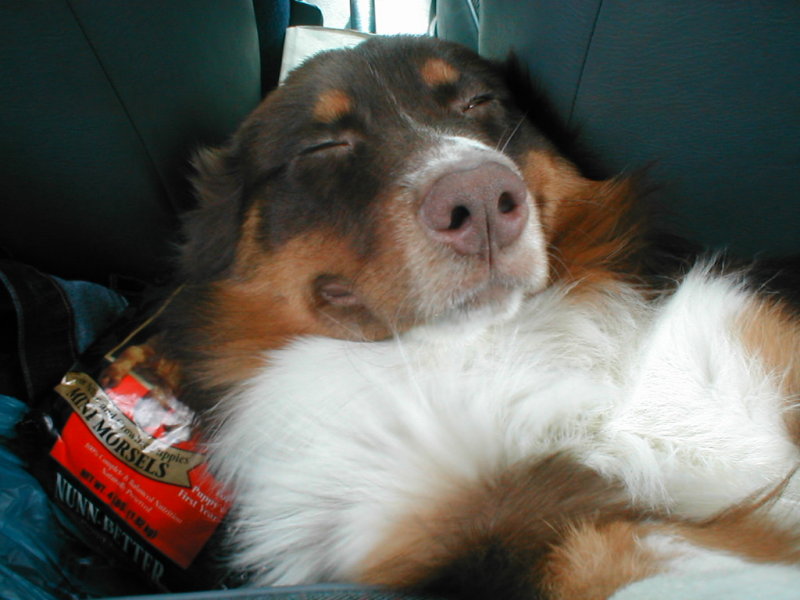 Slinger asleep