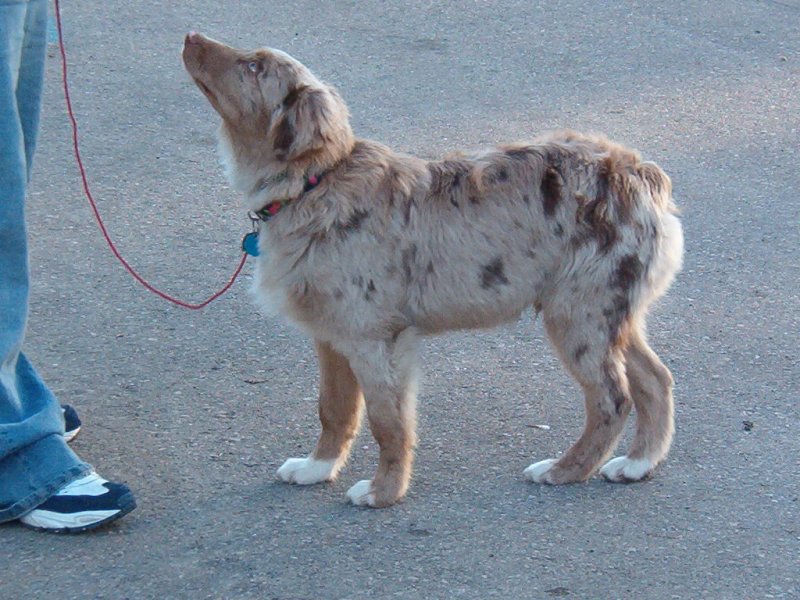 Gunner as a little tike