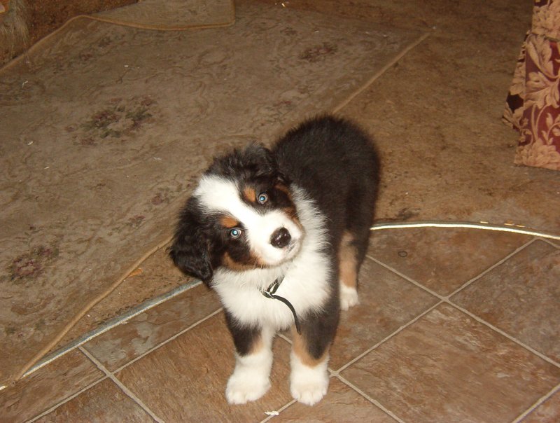 Ajax his first day here