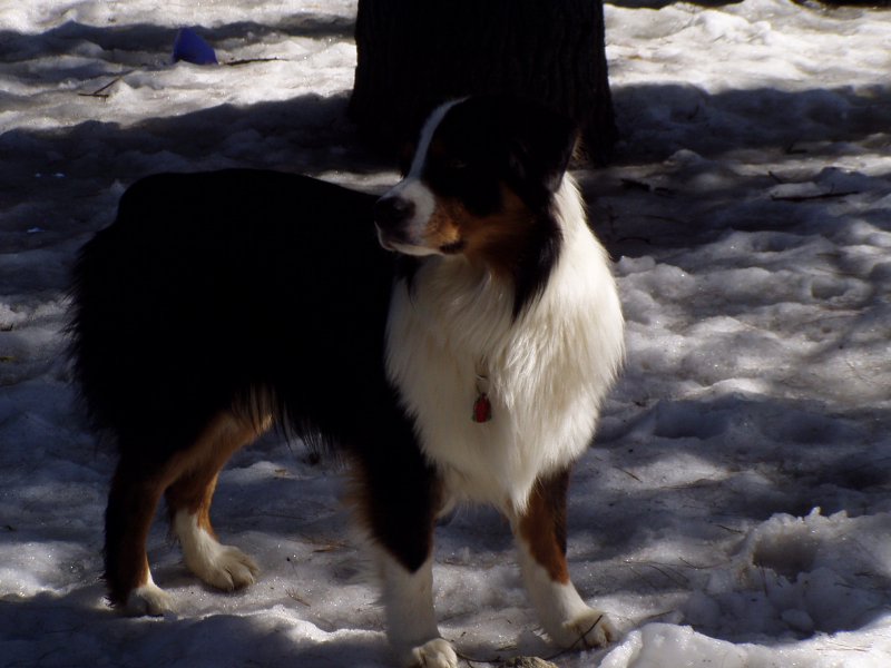 Ajax in the morning light