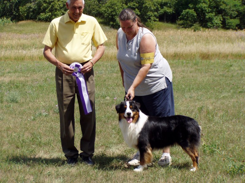 Ajax-reserve winners dog