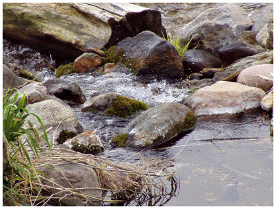 Token creek watershed