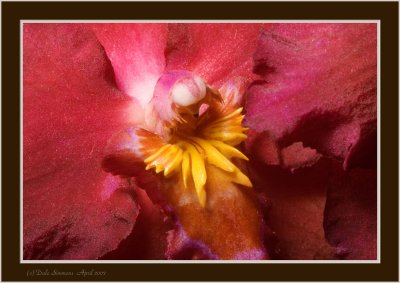 _DSC00 (121).jpg