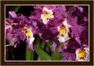 _DSC00 (125).jpg