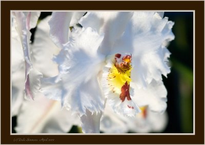 _DSC00 (132).jpg