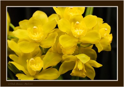 _DSC00 (142).jpg