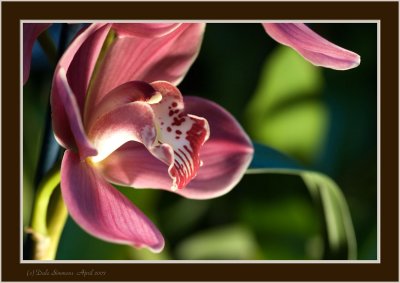 _DSC00 (190).jpg