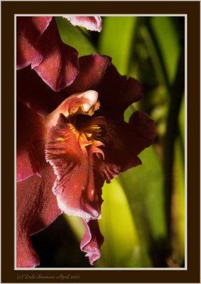 _DSC00 (216).jpg