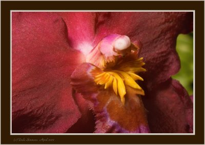 _DSC00 (217).jpg