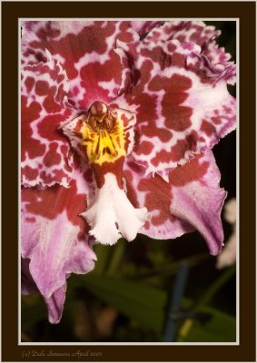 _DSC00 (219).jpg