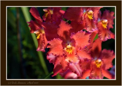 _DSC00 (221).jpg