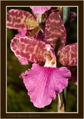 _DSC00 (226).jpg