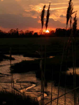 Martlesham creek sunset and channel