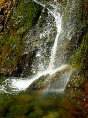 bottom of the fall blowing rainbows, though by this time there was a knot of cloud over the central fells