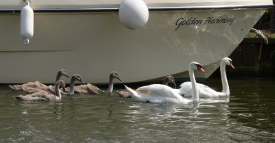 Gloucester to Sharpness canal