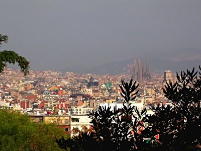 Again including Sagrada Familia