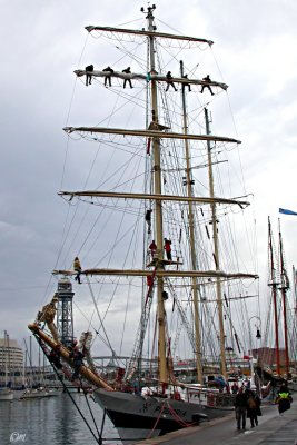 a Polish tallship at the quayside