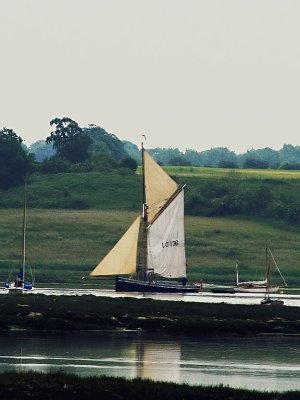 Bawley gaff-rigged yacht 'Good intent' built 1860 sailing up Deben