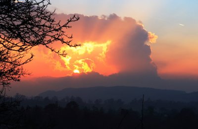 a sunset from the bottom of our garden