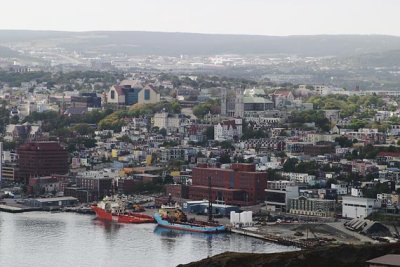 city of St.John's,from signal hill