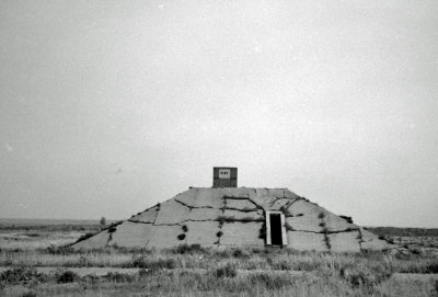 Ammo Bunker Covered With Weeds