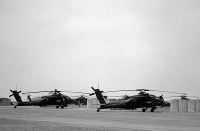 Blackhawks Waiting To Fly