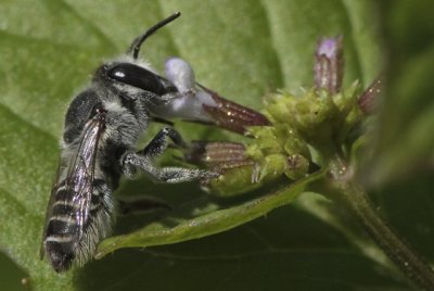 2E1Z9317.jpg